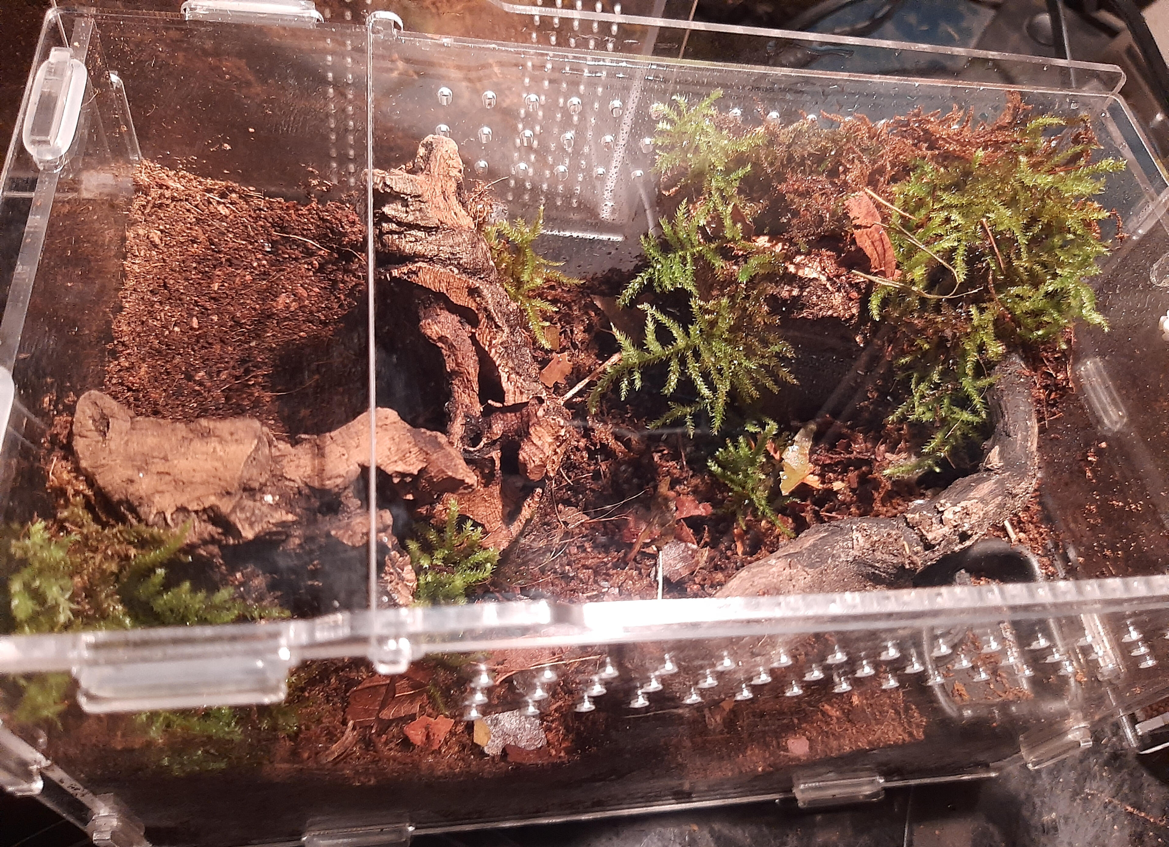 For Ground Dwelling Species